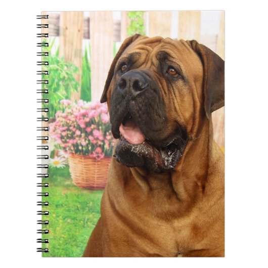 Bordeaux Mastiff Notitieboek (Voorkant)