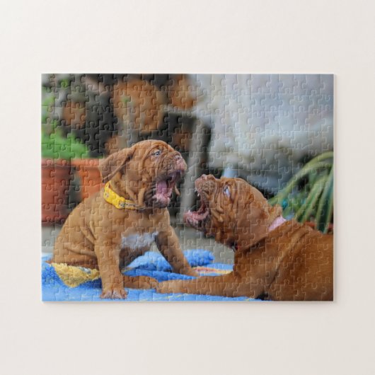 Bordeaux puppies playing legpuzzel (Horizontaal)