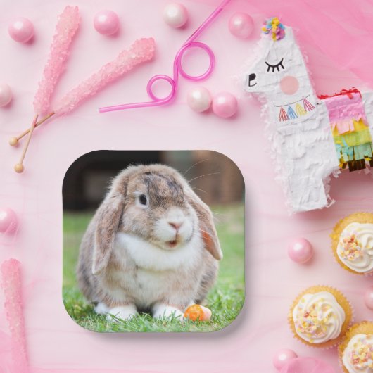 Borden met klauterhaver papieren bordje (Feest)