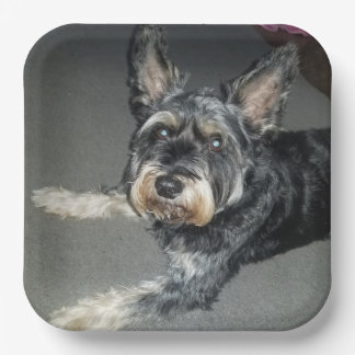 borden papieren bordje