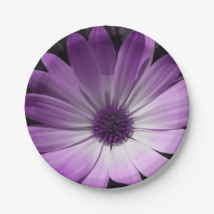 Borden van Paarse Daisy Flower Paper Papieren Bordje