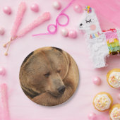 Borden voor grizzly Beer Papieren Bordje (Feest)