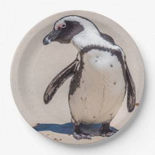 Borden voor pinguïn papieren bordje
