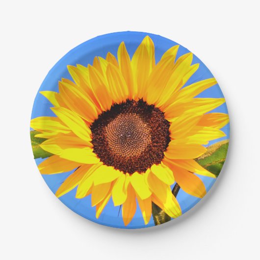 Borden voor zonnebloempapier papieren bordje (Voorkant)