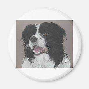 Border Collie 3 Magneet