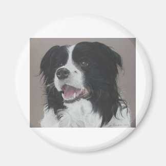 Border Collie 3 Magneet