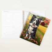 Border Collie à la ferme (Devant avec enveloppe)