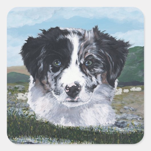 Border Collie aan het Werk Vierkante Sticker (Voorkant)
