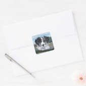 Border Collie aan het Werk Vierkante Sticker (Envelop)