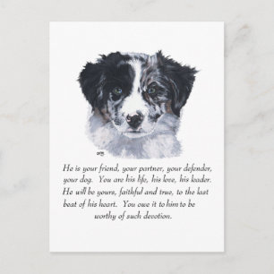 Border Collie Aandenken Briefkaart