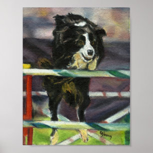 Border Collie Agility Dog Portret Poster