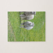 Border Collie and Ewe Legpuzzel (Horizontaal)