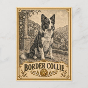 Border Collie, Antieke Erfhond Briefkaart