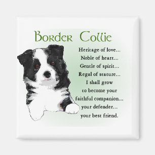 Border Collie Art Gifts Magneet