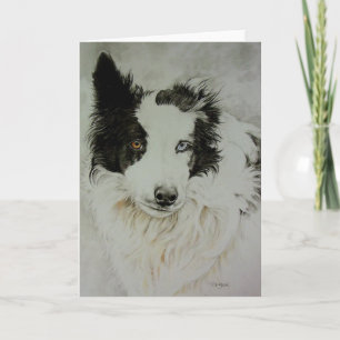Border Collie/Aussie Wenskaart Kaart
