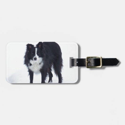 Border Collie Bagagelabel (Voorkant horizontaal)