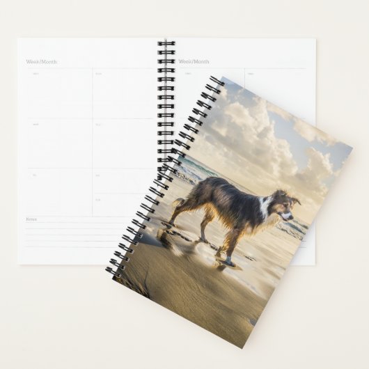 Border Collie Beach Fun | Hond Planner (Display)