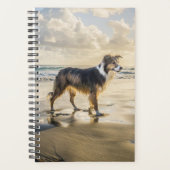 Border Collie Beach Fun | Hond Planner (Voorkant)