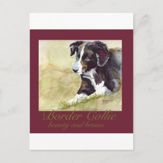 Border Collie Beauty en Brains Briefkaart
