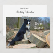 Border Collie Birthday Uitnodiging (Voorkant / Achterkant)