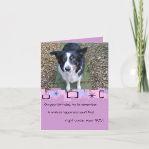 Border Collie Birthday Wenskaart Kaart