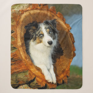 Border Collie Blauw Merle Hondenkop Foto - Sherpa Deken