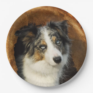 Border Collie Blue Merle Dog Portrait, Happy Party Papieren Bordje