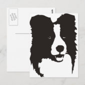 Border Collie Briefkaart (Voorkant / Achterkant)