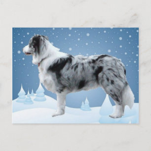 Border Collie briefkaart~Kerstmis Feestdagenkaart