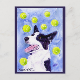 Border Collie Briefkaart - "Magpie's Gold"