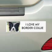 Border Collie Bumpersticker (Op auto)