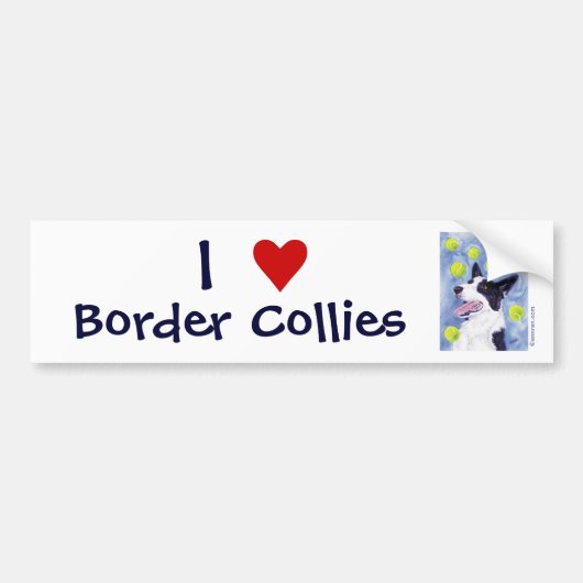 Border Collie Bumpersticker (Voorkant)