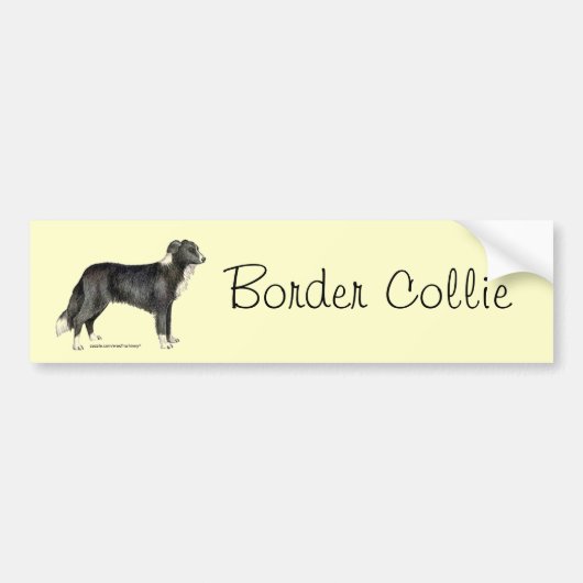 Border Collie Bumpersticker (Voorkant)