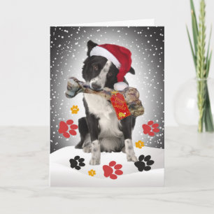 Border Collie cadeau van Santa Kaarten