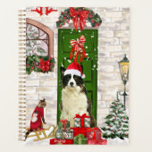 Border Collie Chien Noël (Devant)