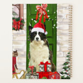 Border Collie Chien Noël (Dos)