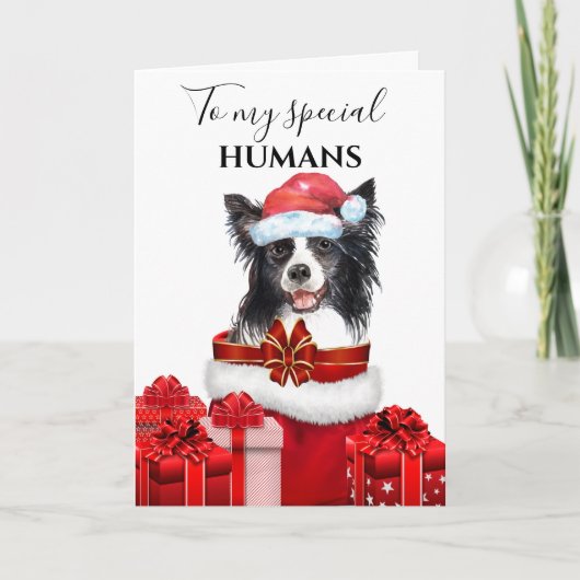 Border Collie Christmas Family wenst bericht Kaart (Voorkant)