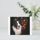 Border Collie Christmas Feestdagenkaart (Staand voorkant)
