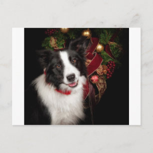 Border Collie Christmas Feestdagenkaart