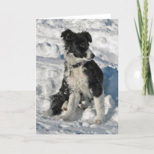 Border Collie Christmas Note Kaart