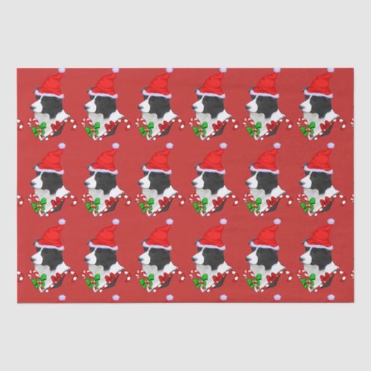 Border Collie Christmas Tissuepapier (Voorkant)
