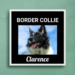 Border Collie Custom Dog Poster
