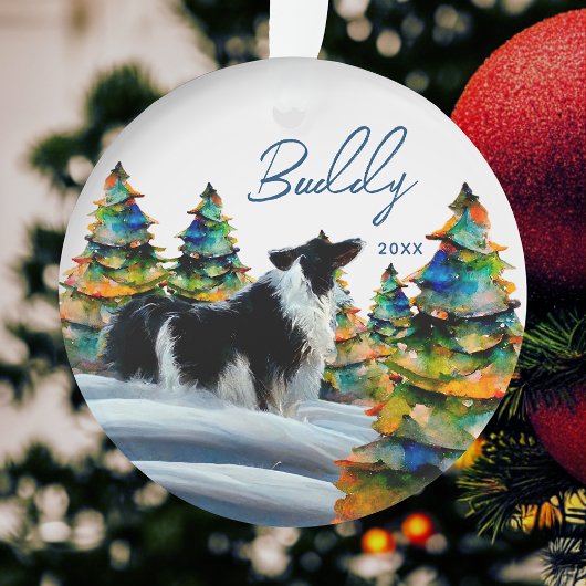 Border Collie dans la forêt enneigée d'hiver arbre