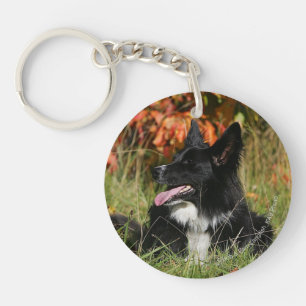 Border collie die het Bepalen hijgen Sleutelhanger