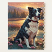 Border Collie Dog (Dos)