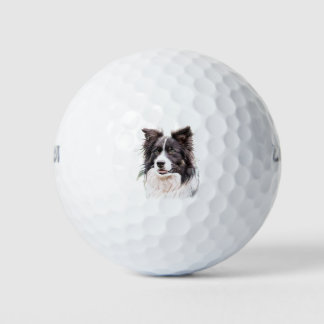 Border Collie Dog Animal Golfballen