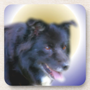 Border Collie Dog Art Bier Onderzetter