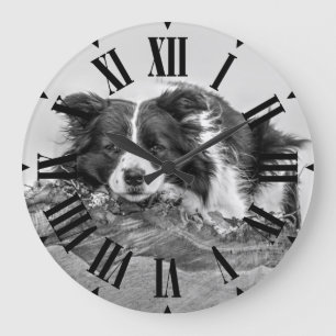 Border Collie Dog Grote Klok