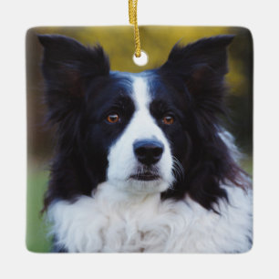 Border Collie Dog Keramisch Ornament