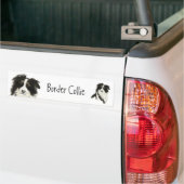 Border Collie Dog o Bumpersticker (Op Truck)
